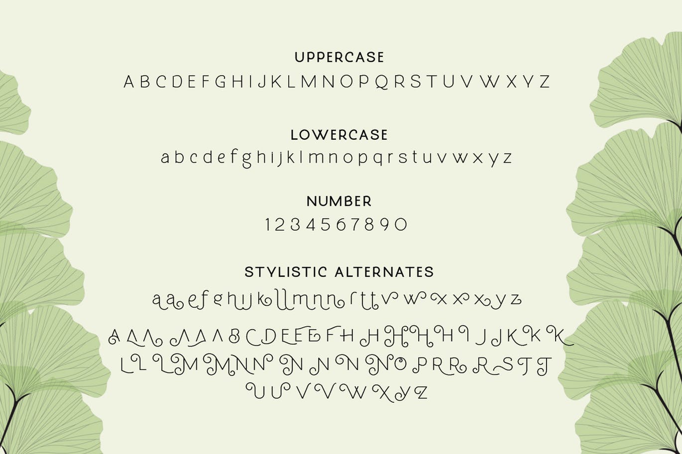 非常好看的一款现代曲线美体英文无衬线设计字体 Molga font插图(7)