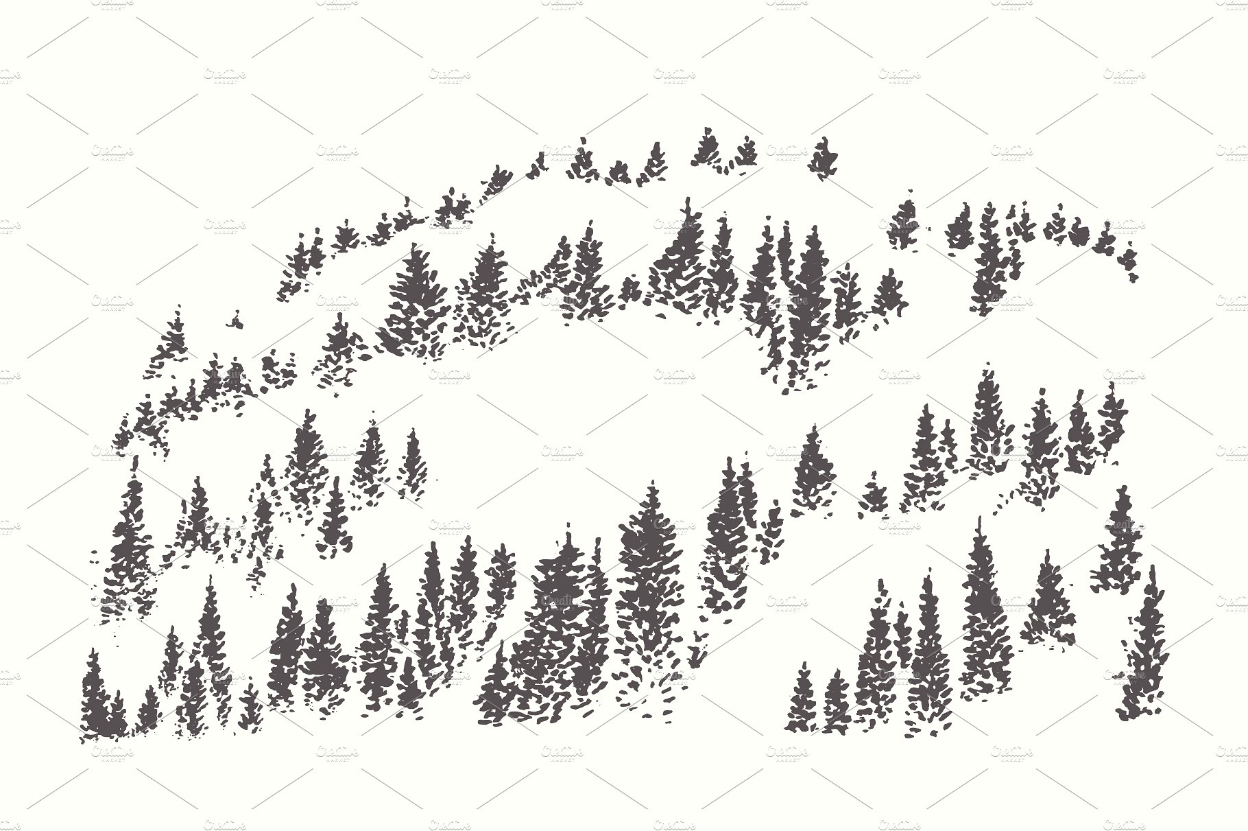 素描森林景观作品插画合集 Collection of forest landscapes插图(3)