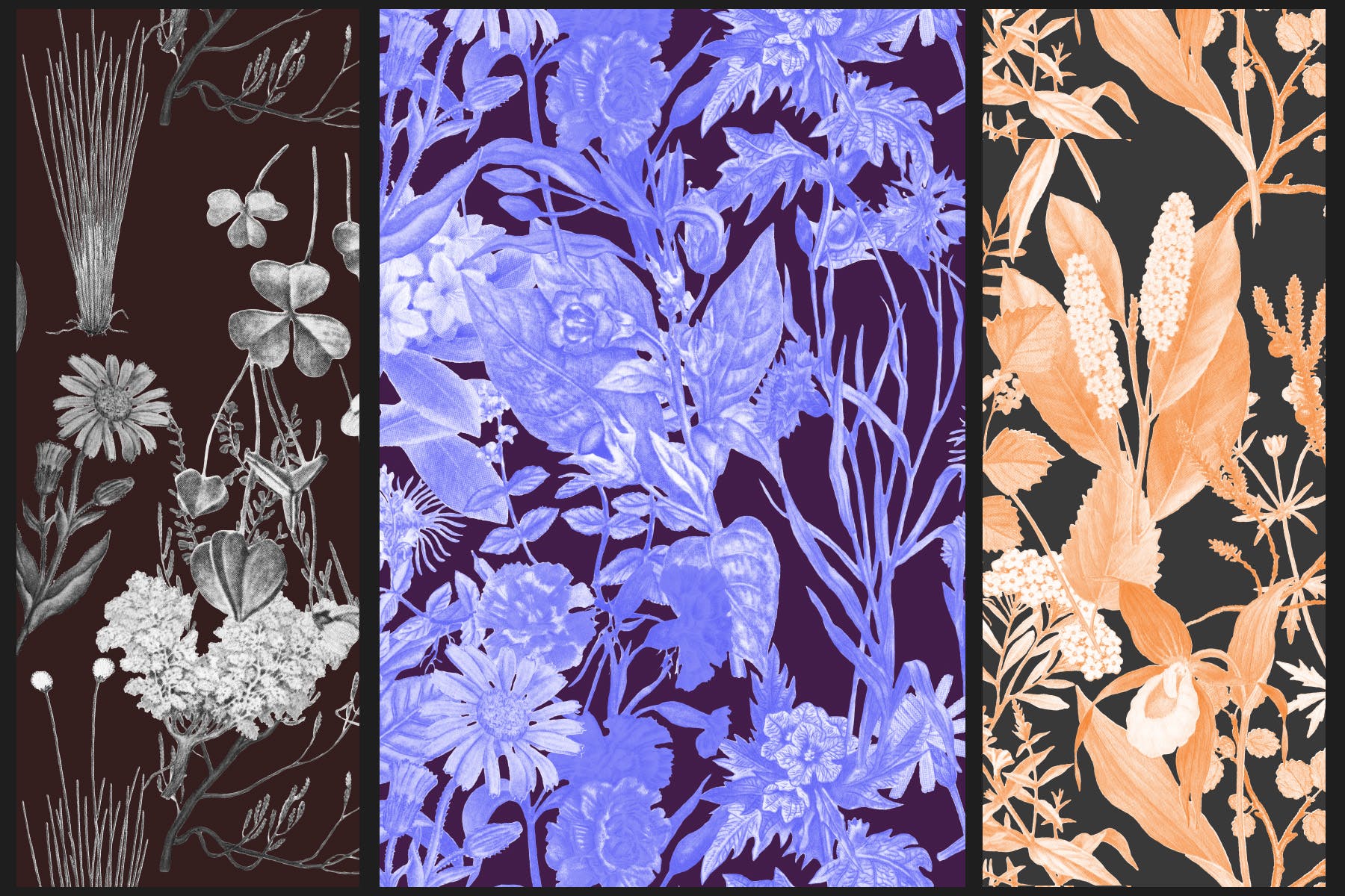 高清复古植物图案背景设计素材 Vintage Botanical Patterns插图(1)