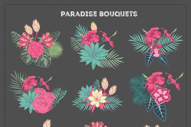 热带花卉和花束手绘插画素材 Paradise Flowers插图(2)