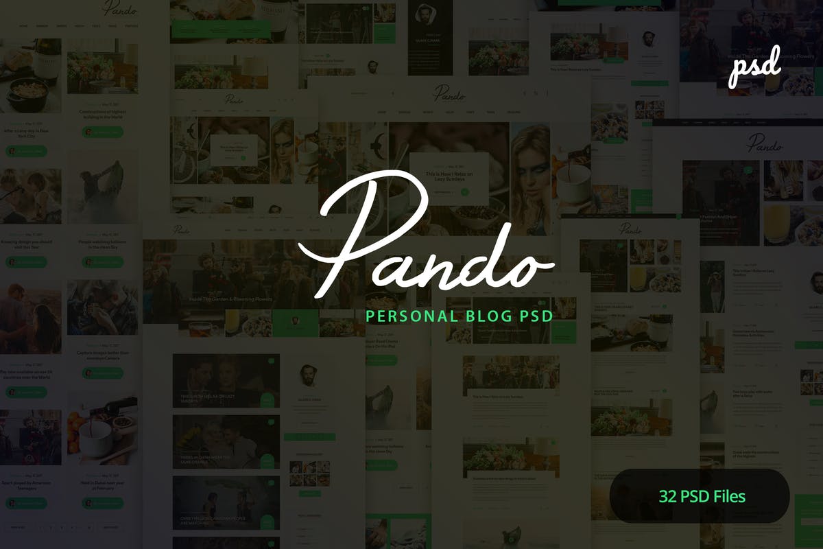 现代时尚的个人博客PSD模板 Pando – Personal Blog PSD Template插图