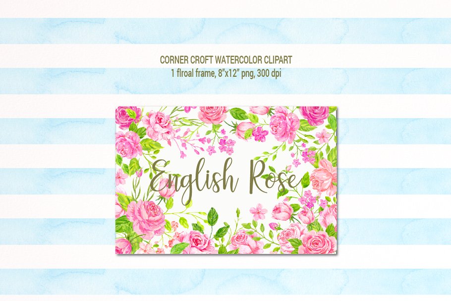美丽浪漫的英国传统玫瑰剪贴画合集 Watercolor English Rose Clipart插图(4)