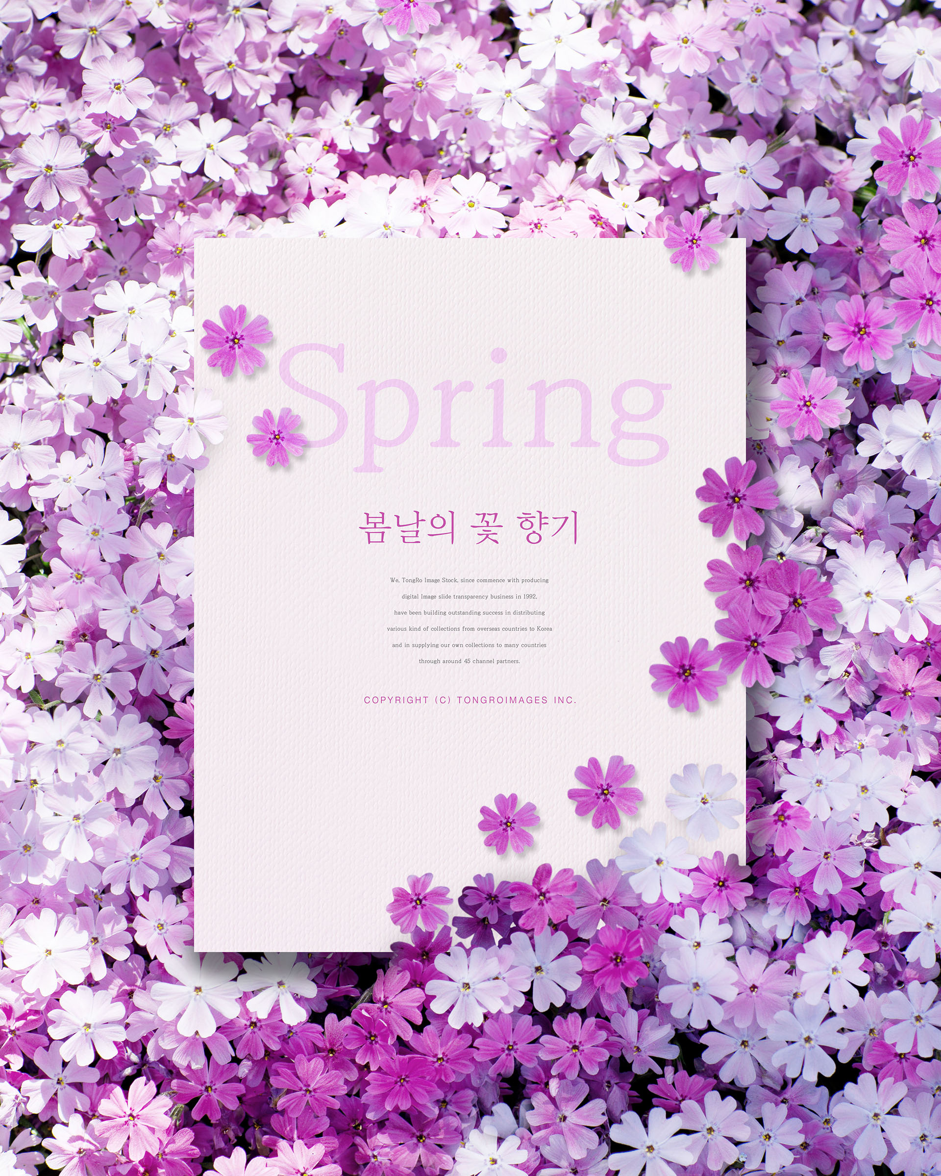 清新的春天氛围创意海报模板PSD插图(3)