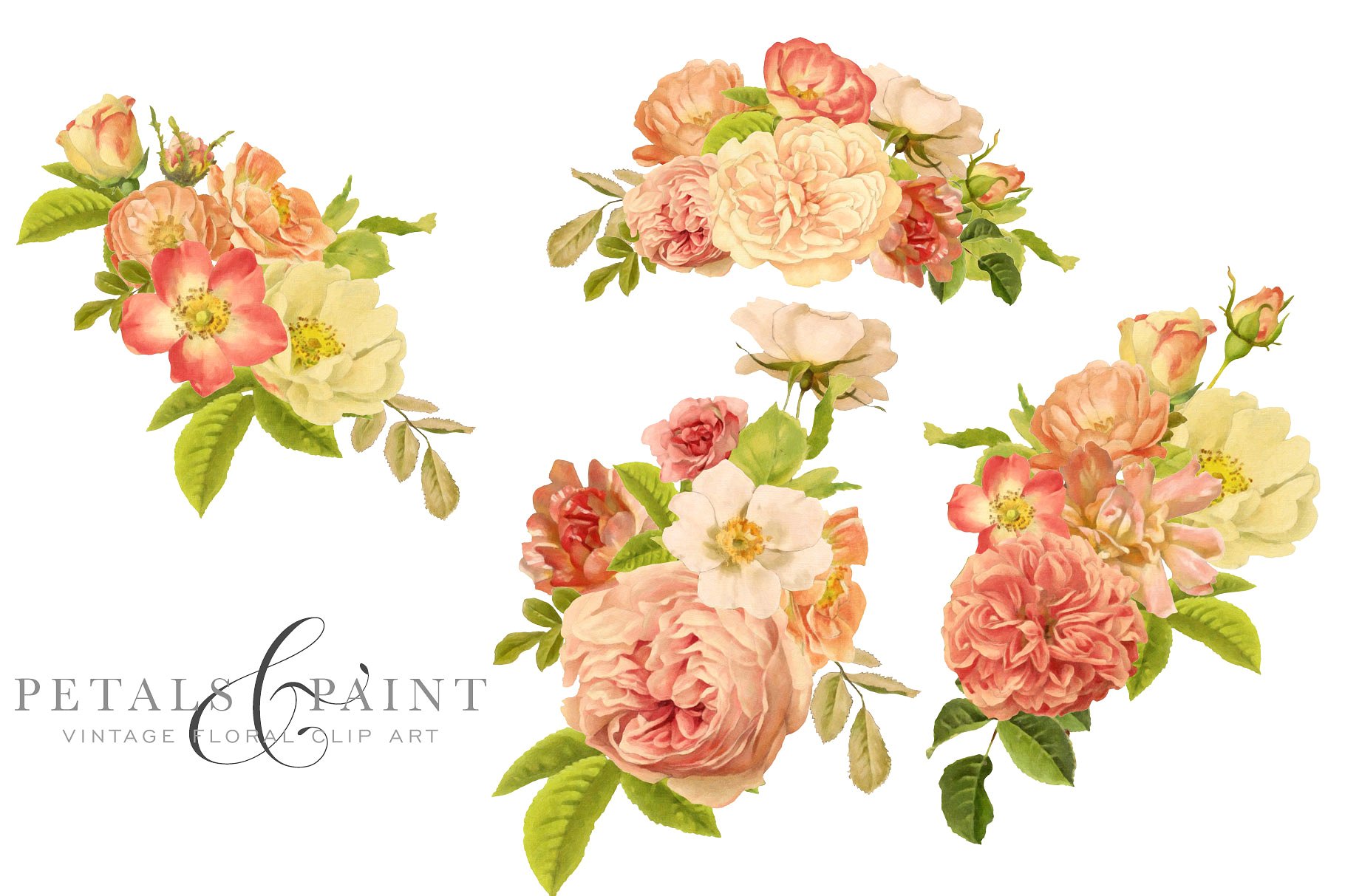 复古油画质感花卉花瓣纹理 Petals & Paint – Floral Clip Art插图(3)
