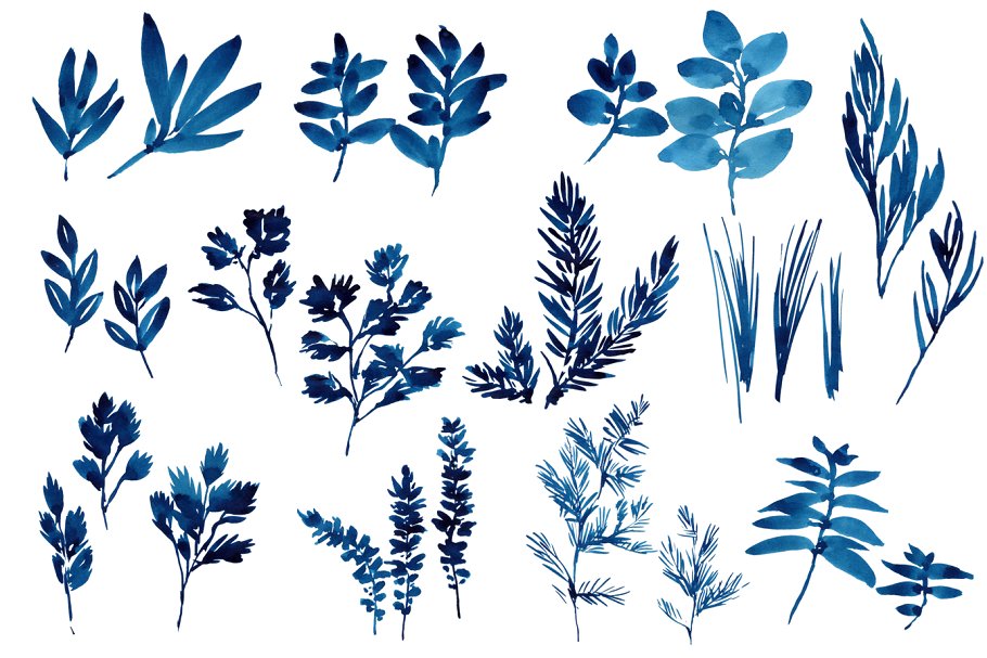 草本水彩剪贴画 Watercolor Herbs, leaves插图(1)