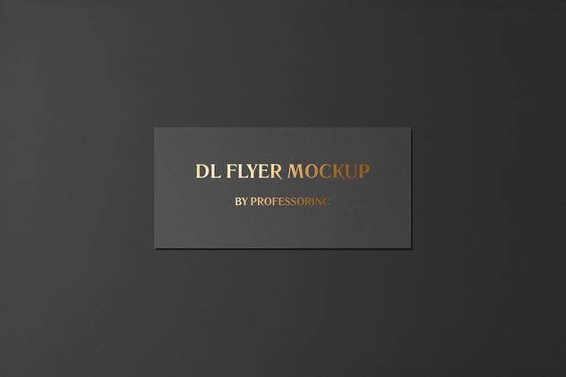 高端烫金DL传单铝箔冲压样机模板 DL Landscape Flyer With Foil Stamping Mockup插图(1)