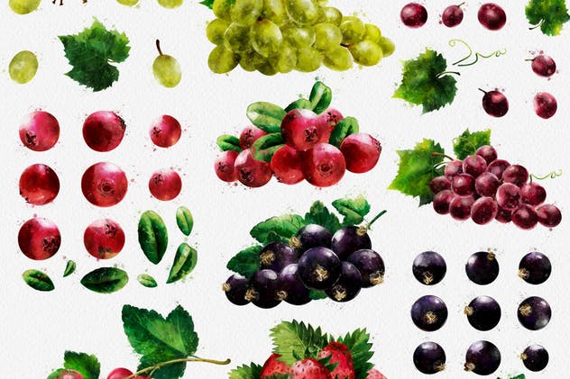 水彩水果&蔬菜插画合集 Watercolor Fruits And Vegetables插图(9)