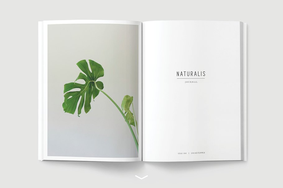 盆栽植物主题杂志模板 NATURALIS Lookbook / Magazine插图(1)