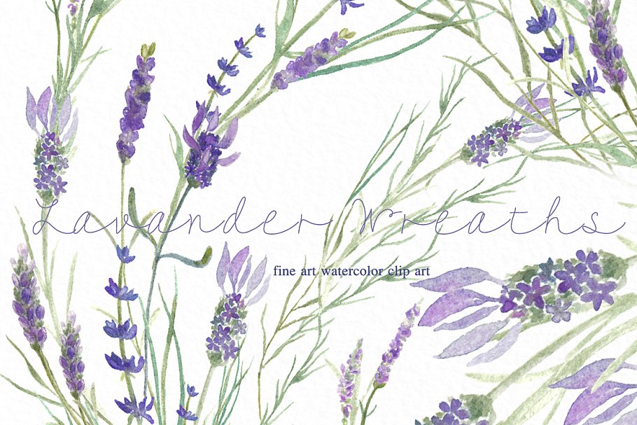薰衣草水彩花卉设计素材 Lavender wreaths watercolor flowers插图(1)