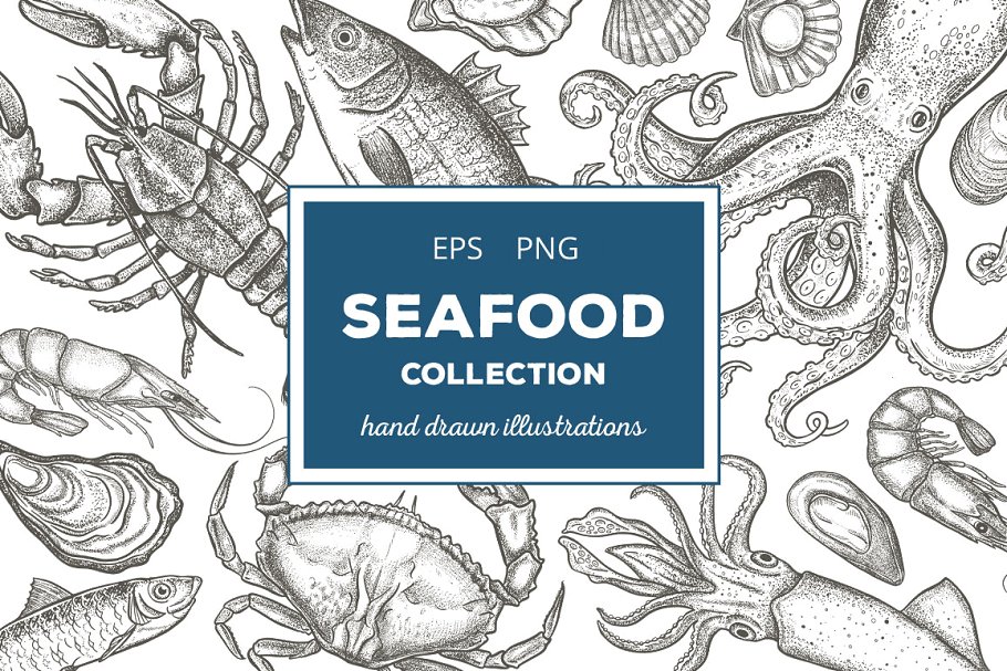 复古粗略风格的手绘海鲜插图合集 Seafood Illustrations插图
