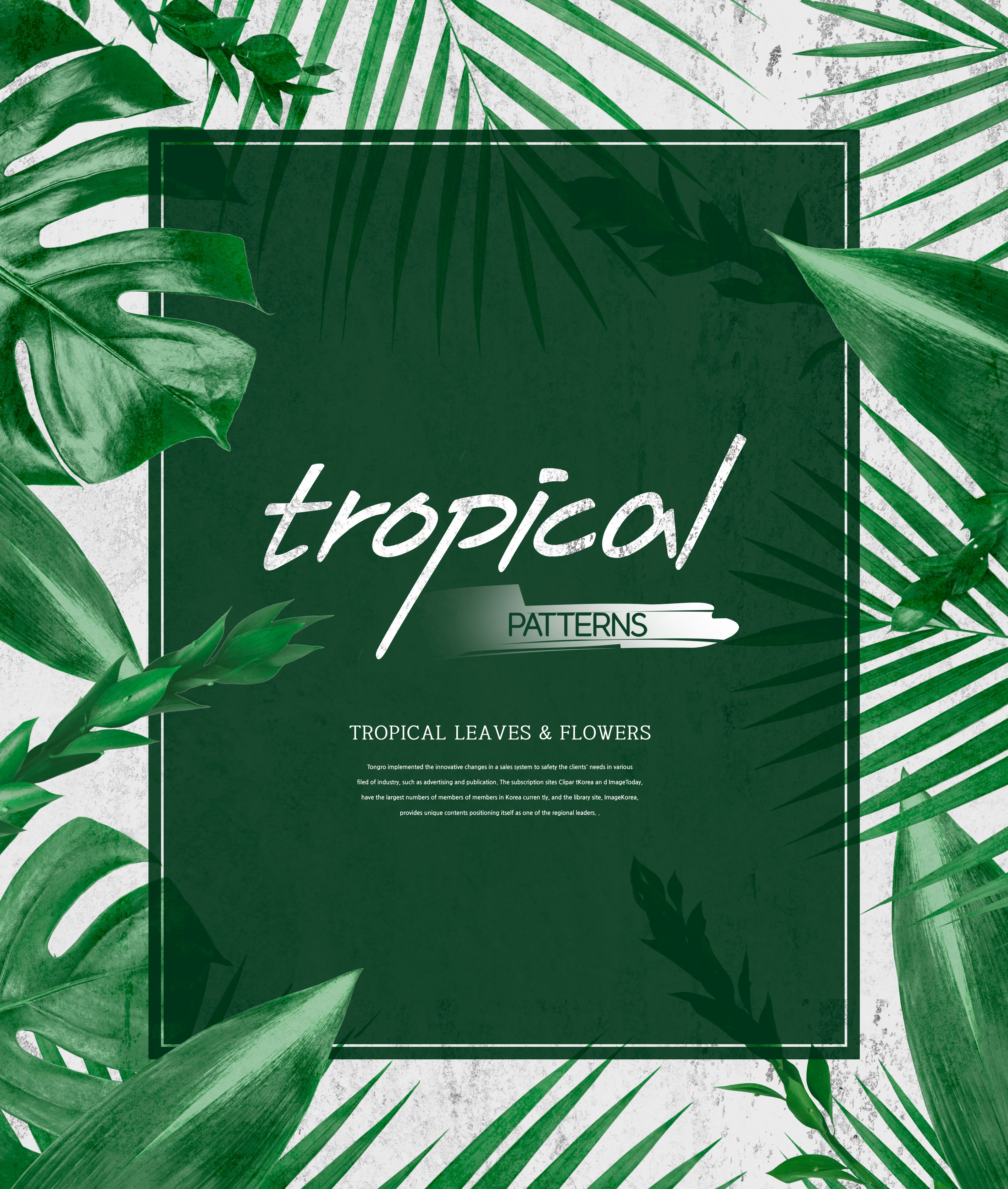 热带主题叶子&花卉图案海报设计素材插图
