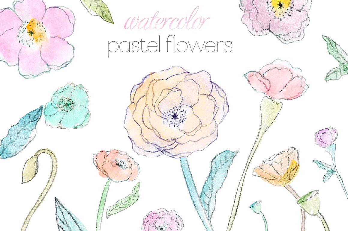 粉色调艺术搭配花卉水彩插画 Pastel Watercolor Flowers插图