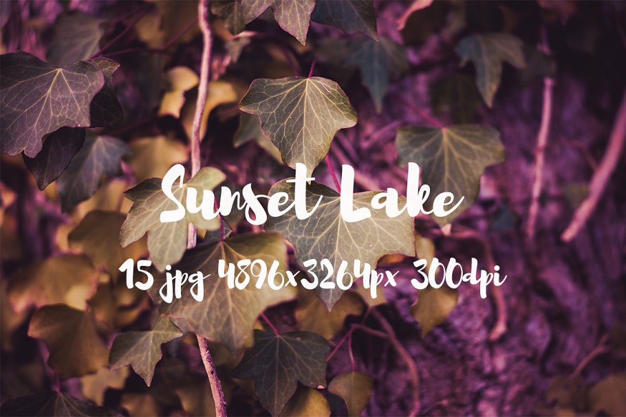 日落湖水高清照片素材 Sunset Lake photo pack插图(14)