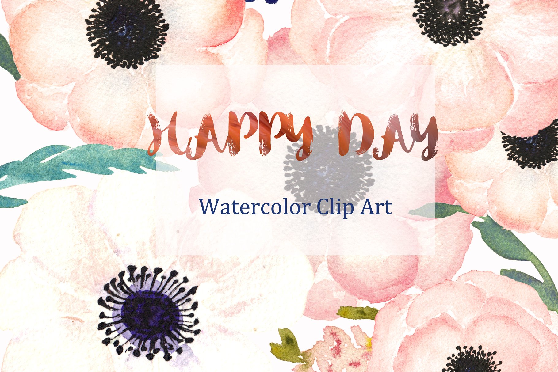 柔和粉彩矢量手绘海葵插画 Anemones Apricot. Watercolor flowers插图(1)