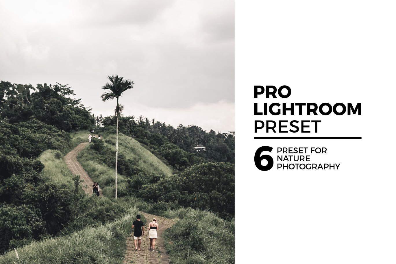 6个自然风景摄影后期处理调色滤镜LR预设 6 Nature Lightroom Preset插图