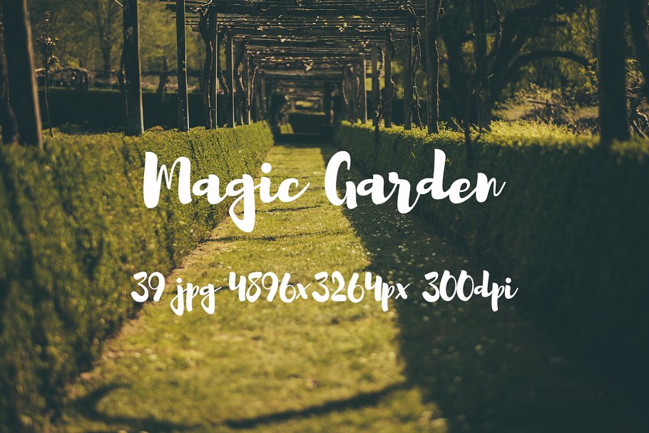 秘密花园花卉植物高清照片素材 Magic Garden photo pack插图(14)