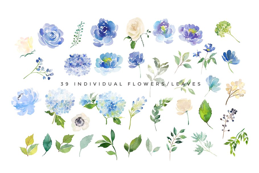 美丽的混合花卉水彩剪贴画合集[1.01GB] Watercolor Flower Graphics – Serene插图(2)
