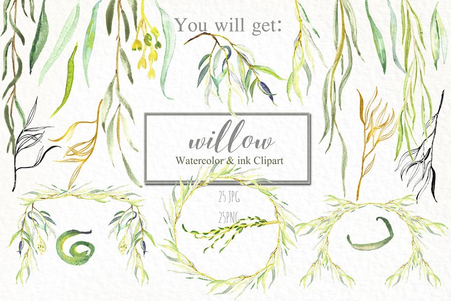 柳枝水彩剪贴画 Willow branches watercolor clipart插图(1)