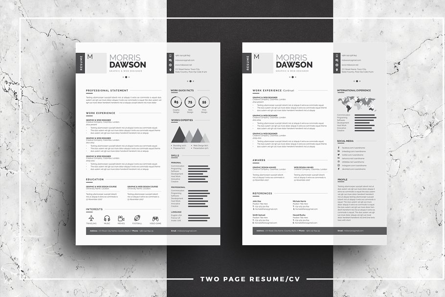 高端创意信息图表简历模板 Clean Infographic Resume/CV插图(2)