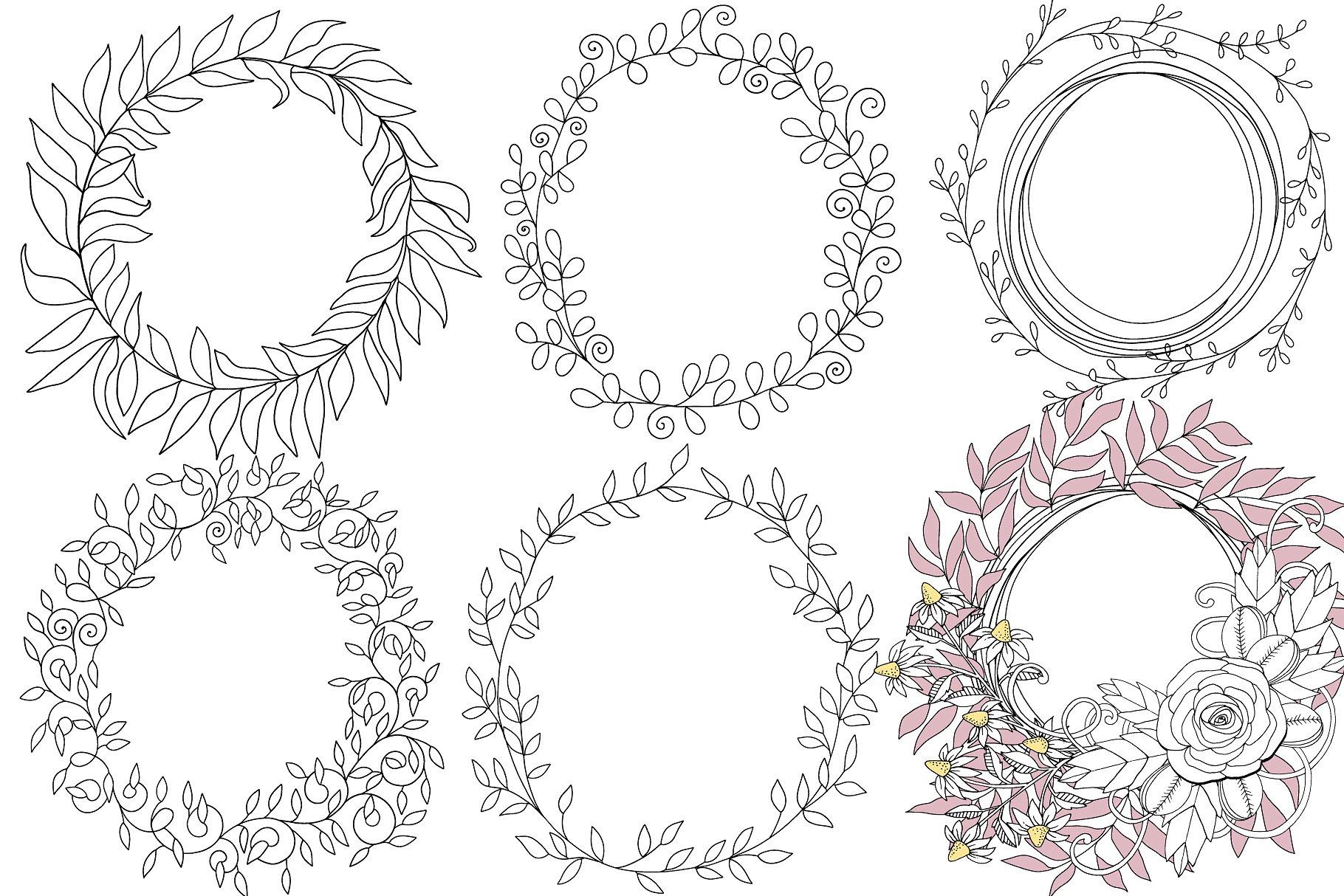 花卉艺术线条及花环素材 Flower Line Art & Floral Wreaths插图(9)