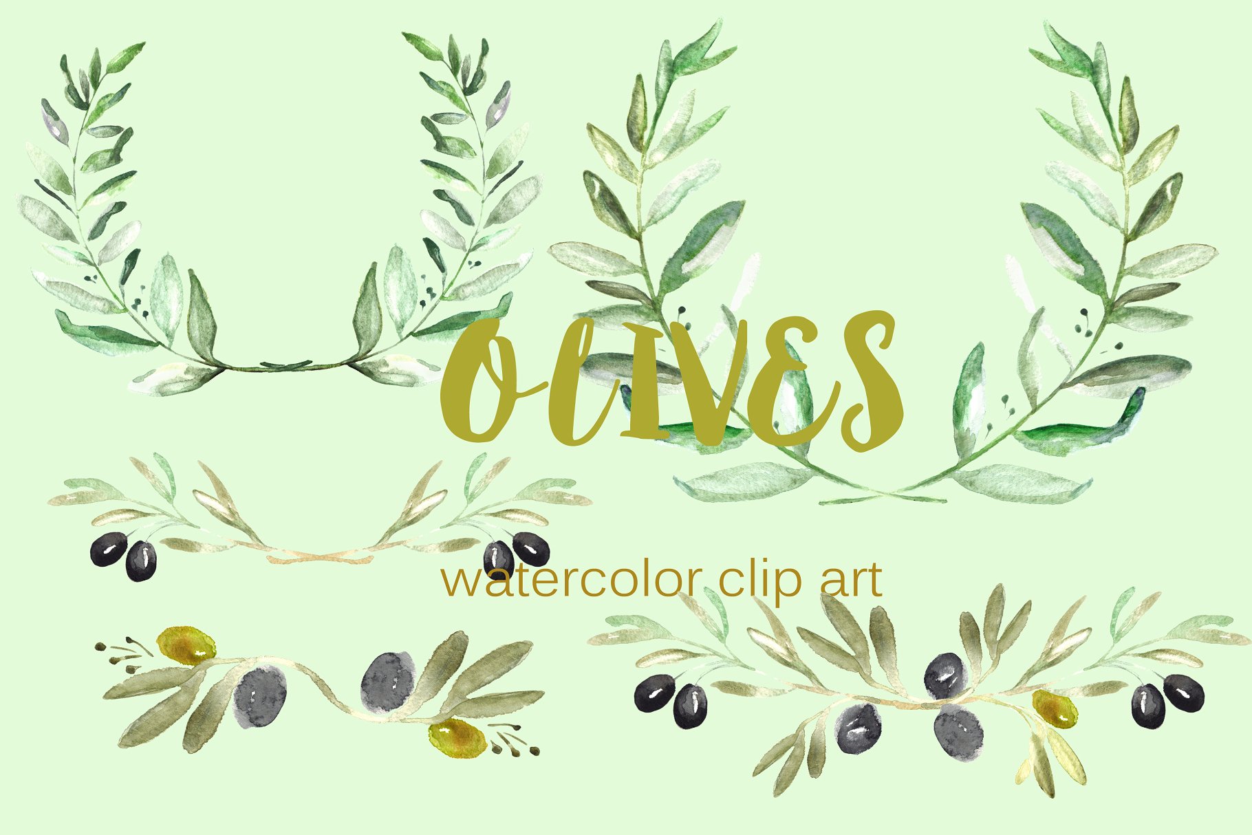 橄榄枝水彩剪贴画 Olives. Watercolor illustrations插图(1)