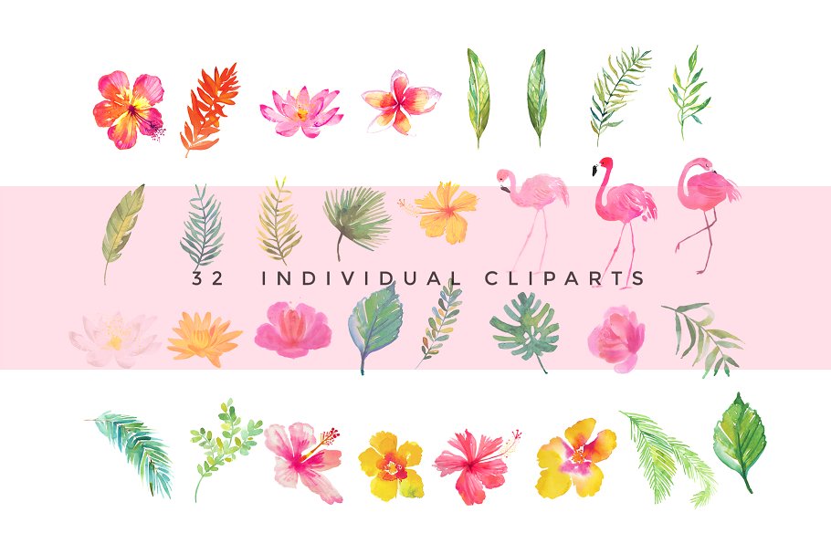火烈鸟/热带植物水彩素材 Watercolour Clipart Set – Tropics插图(9)