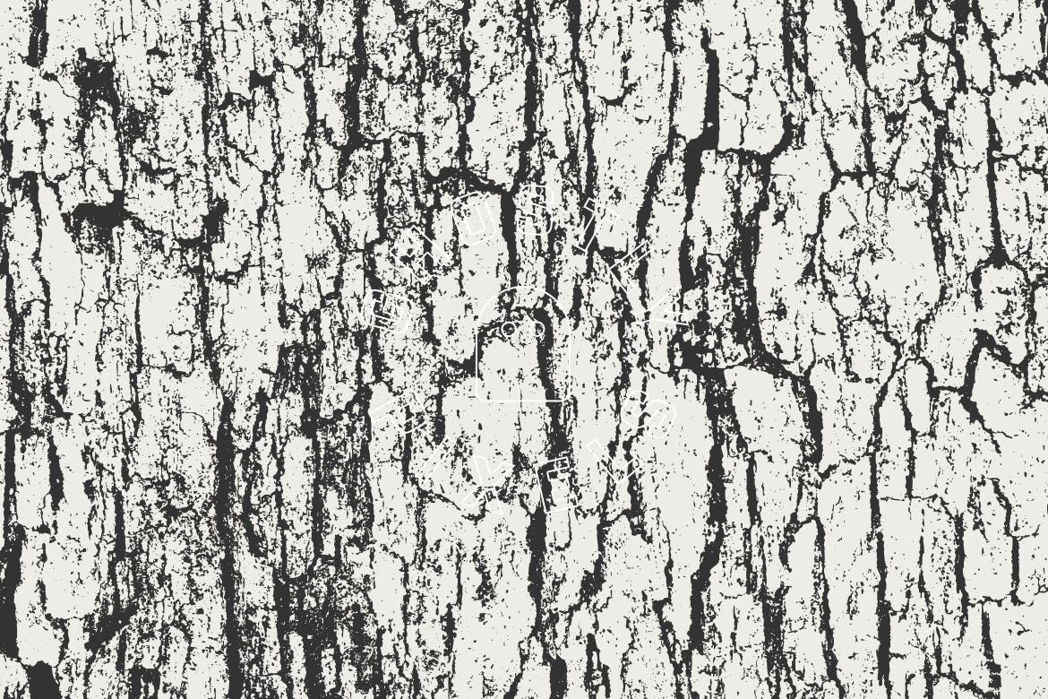 5款逼真树皮纹理肌理矢量背景素材 Tree Bark Textures插图(8)