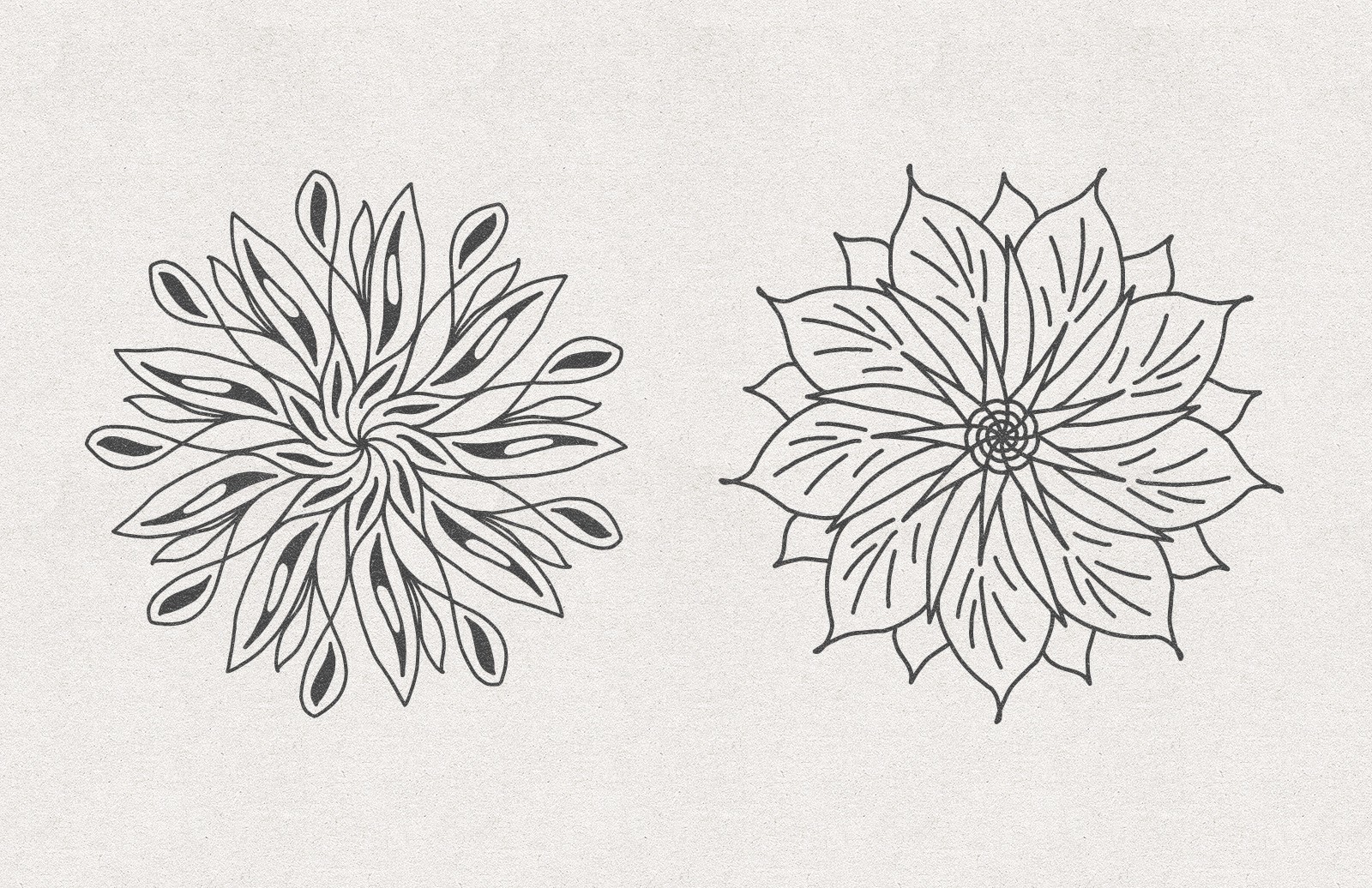 矢量花卉素材 Vector Floral Radial Illustrations [AI, SVG]插图