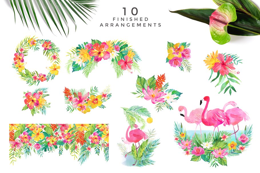 火烈鸟/热带植物水彩素材 Watercolour Clipart Set – Tropics插图(2)