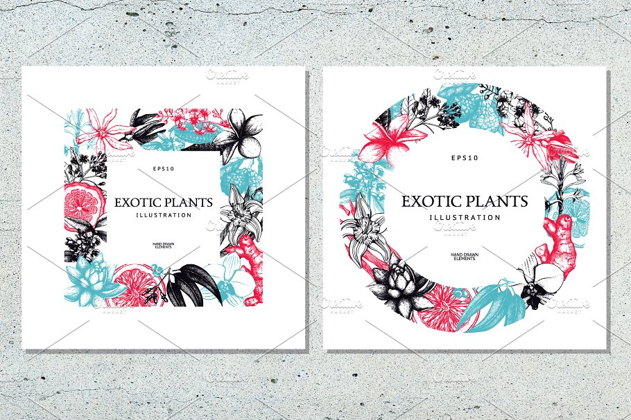 复古风奇花异草设计素材集 Vinatge Exotic Plants & Flowers Set插图(4)