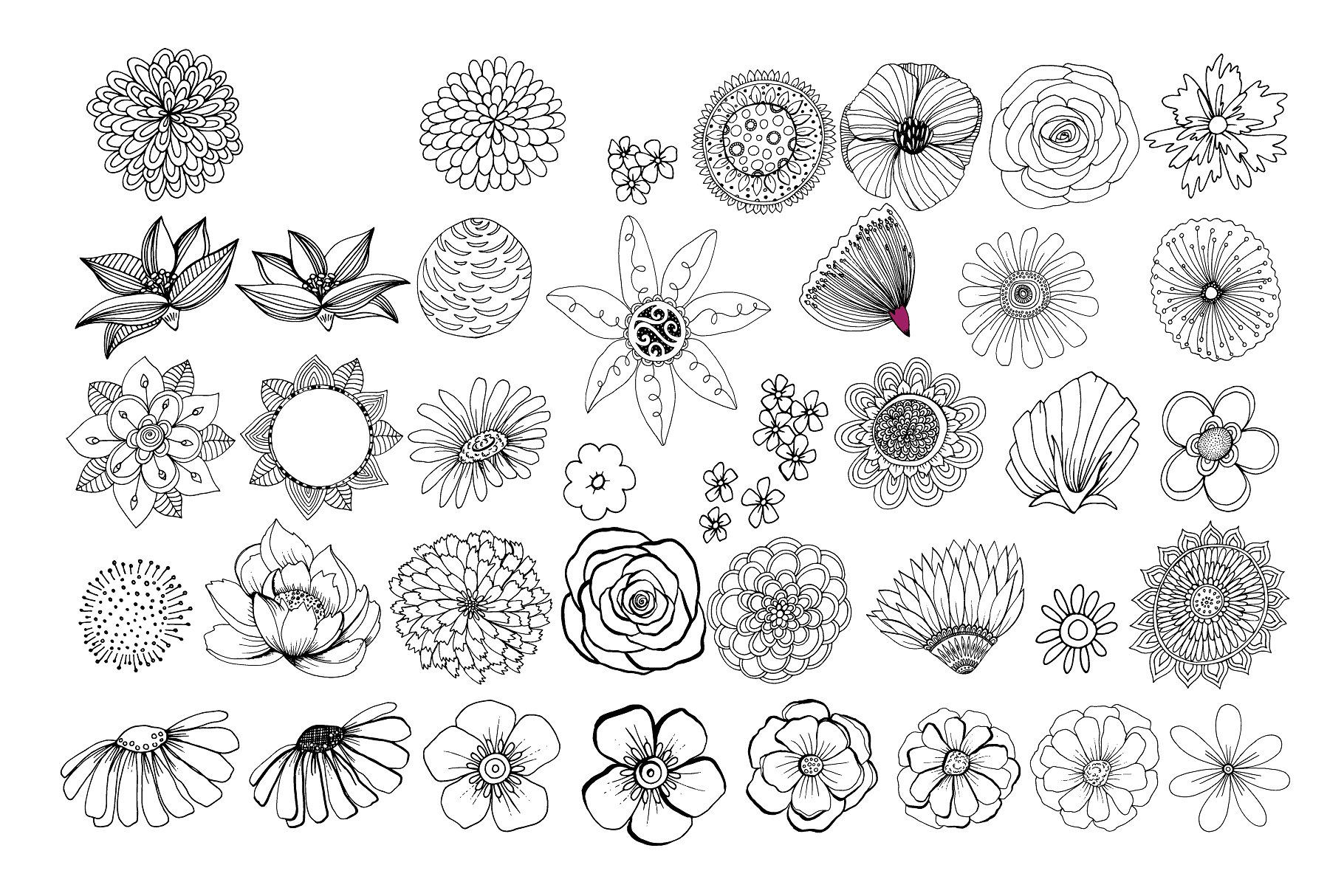 花卉艺术线条及花环素材 Flower Line Art & Floral Wreaths插图(1)