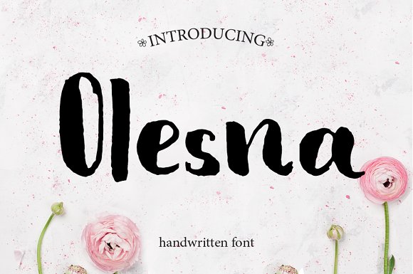 一款优雅的手写无衬线字体：Olesna