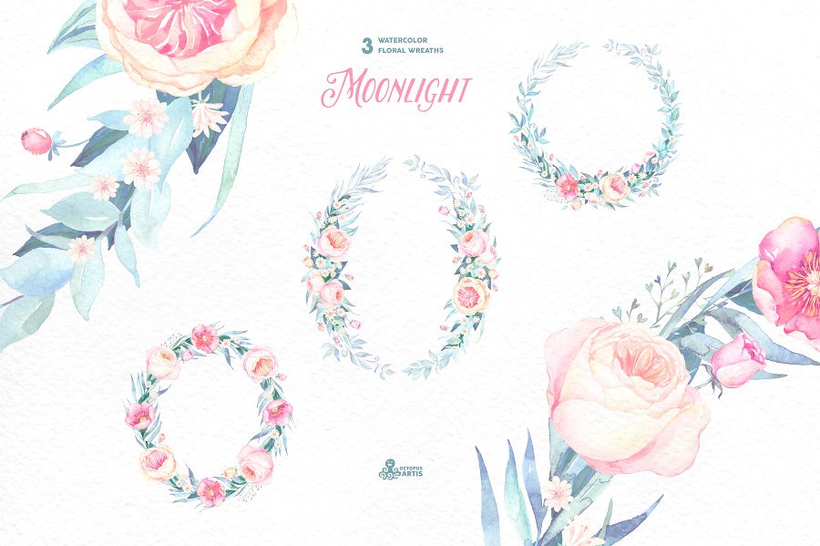 月色水彩花卉设计套装 Moonlight. Floral collection插图(2)