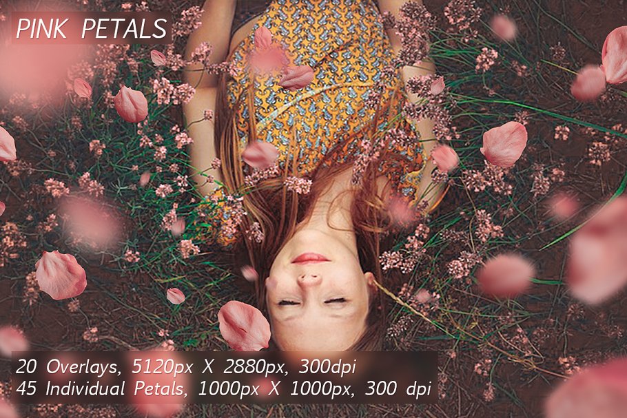 5K高清分辨率花瓣叠层覆盖层素材 5K Petals Overlays插图(2)