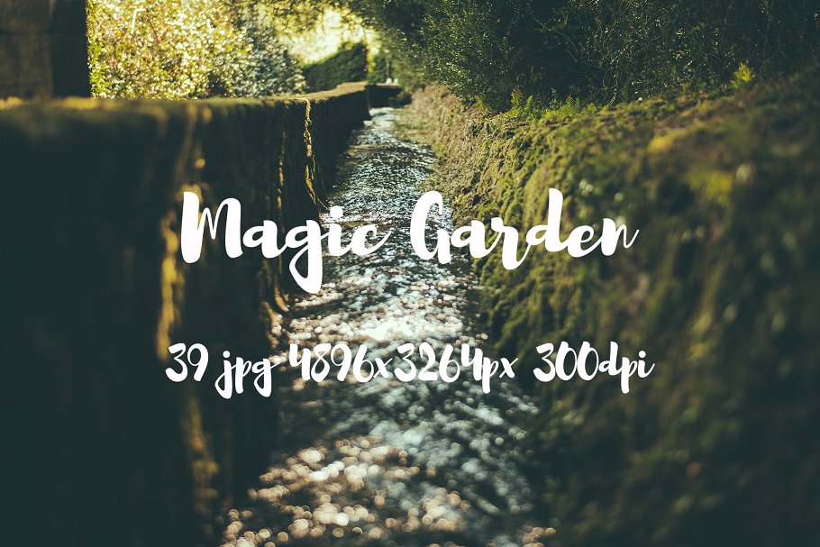 秘密花园花卉植物高清照片素材 Magic Garden photo pack插图(12)