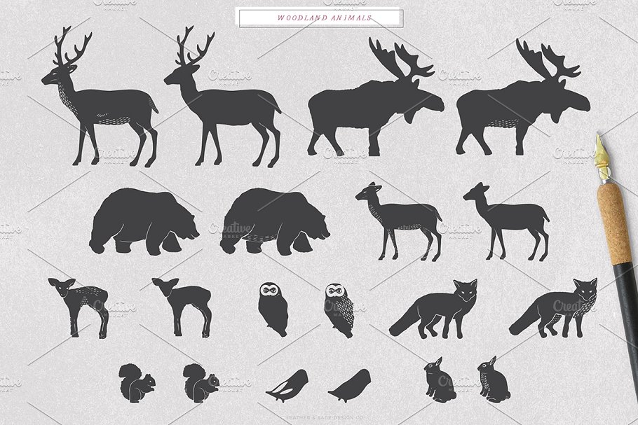 林地和冬季矢量图形 Woodlands & Winter Vector Graphics插图(1)