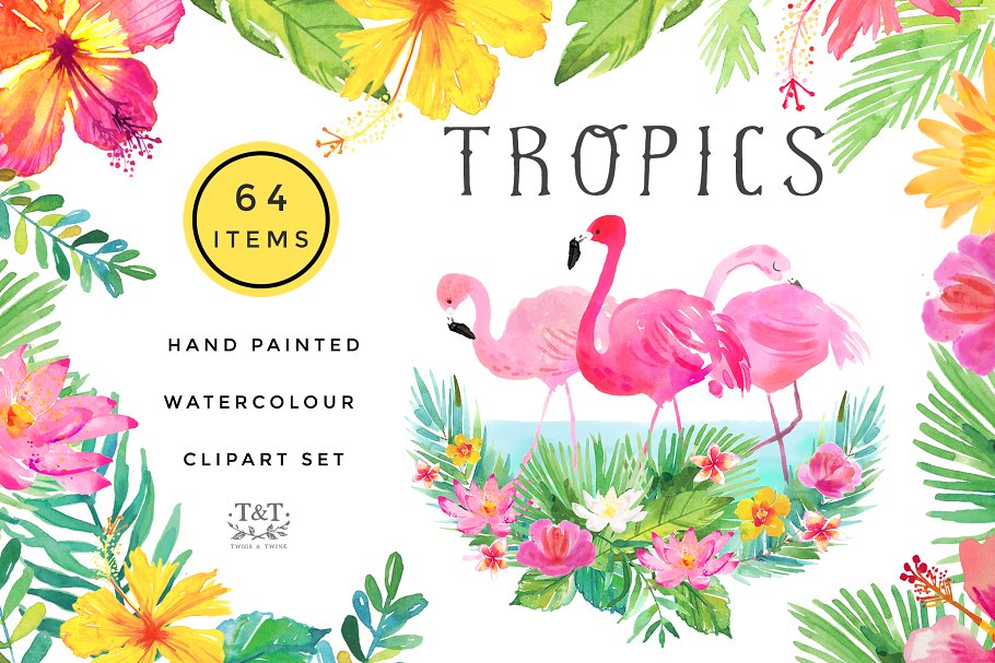 火烈鸟/热带植物水彩素材 Watercolour Clipart Set – Tropics插图
