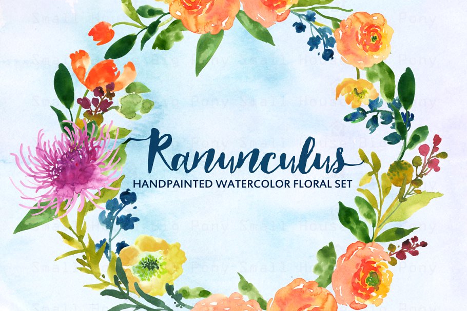 水彩手绘毛茛植物剪贴画 Ranunculus- Watercolor Clip Art插图(3)