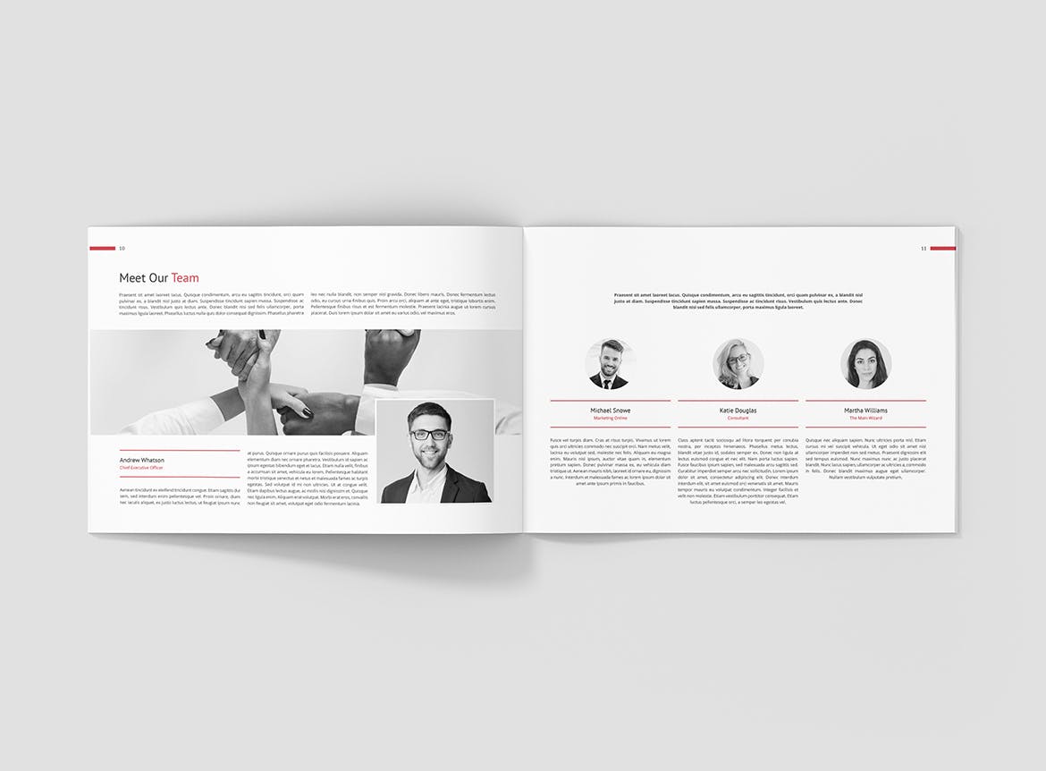 商业&创意营销企业介绍画册设计模板 Business Marketing – Company Profile Landscape插图(6)