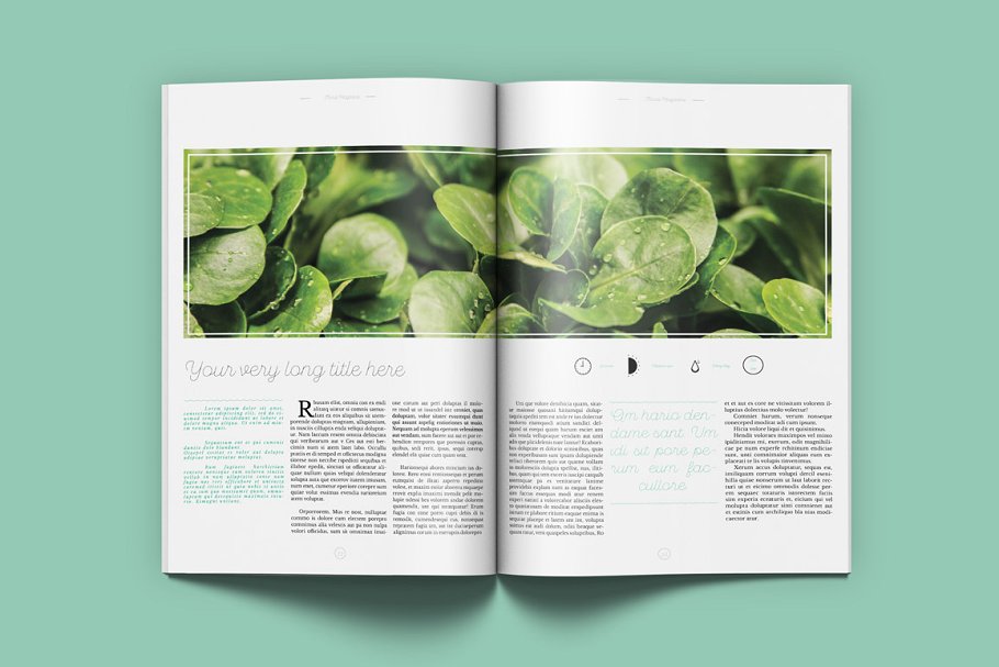 极简主义盆栽景观通用杂志模板 Floral Magazine插图(5)