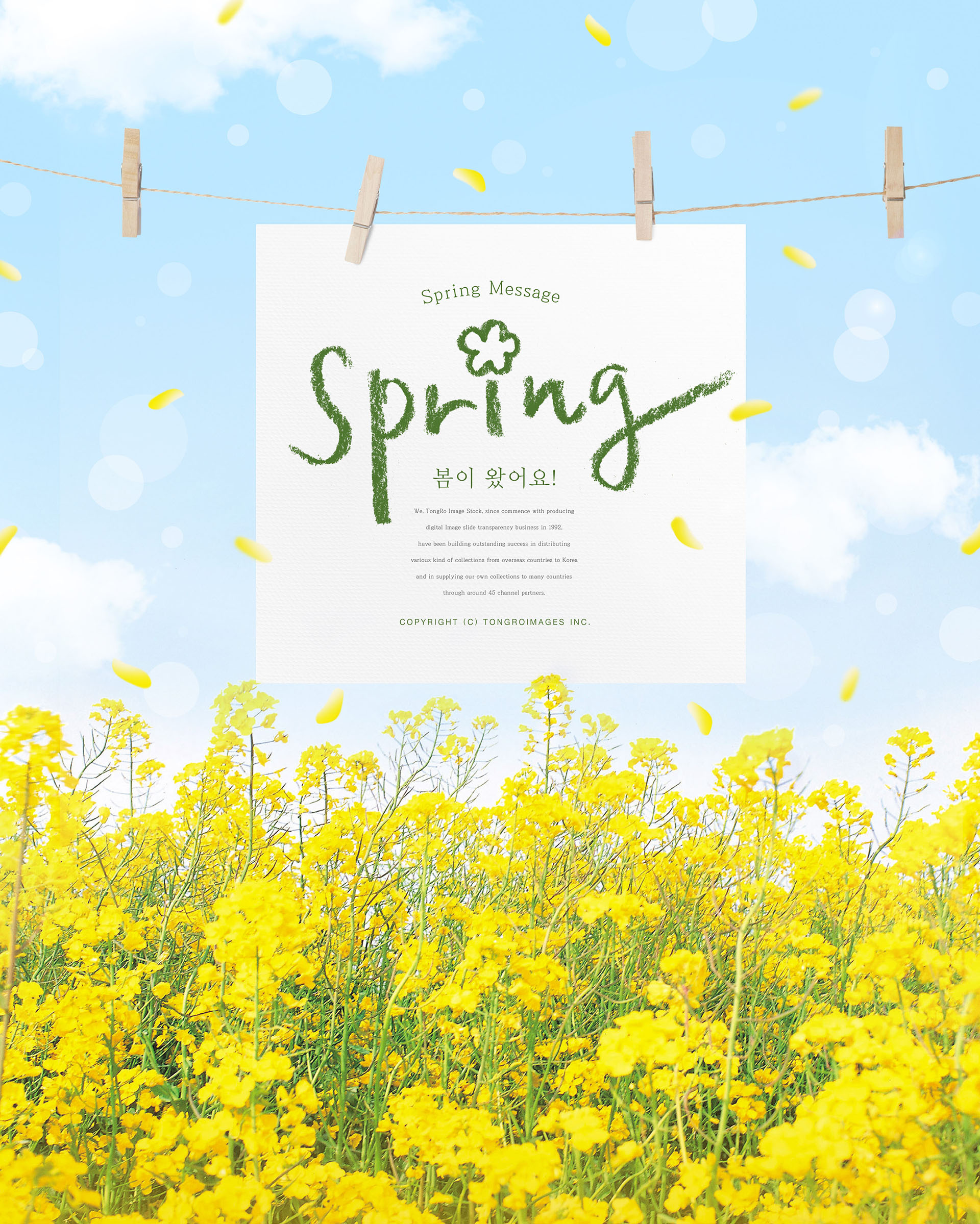 清新的春天氛围创意海报模板PSD插图(8)