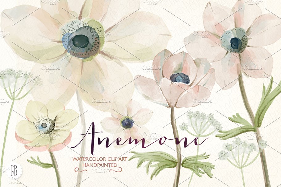 银莲花水彩剪贴画 Watercolor anemones插图