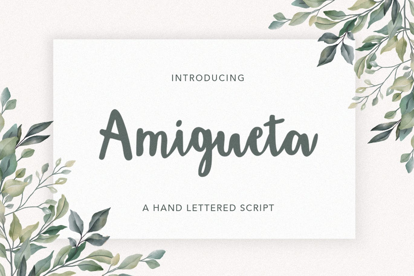 平面设计英文标题草书字体下载 Amigueta Script插图