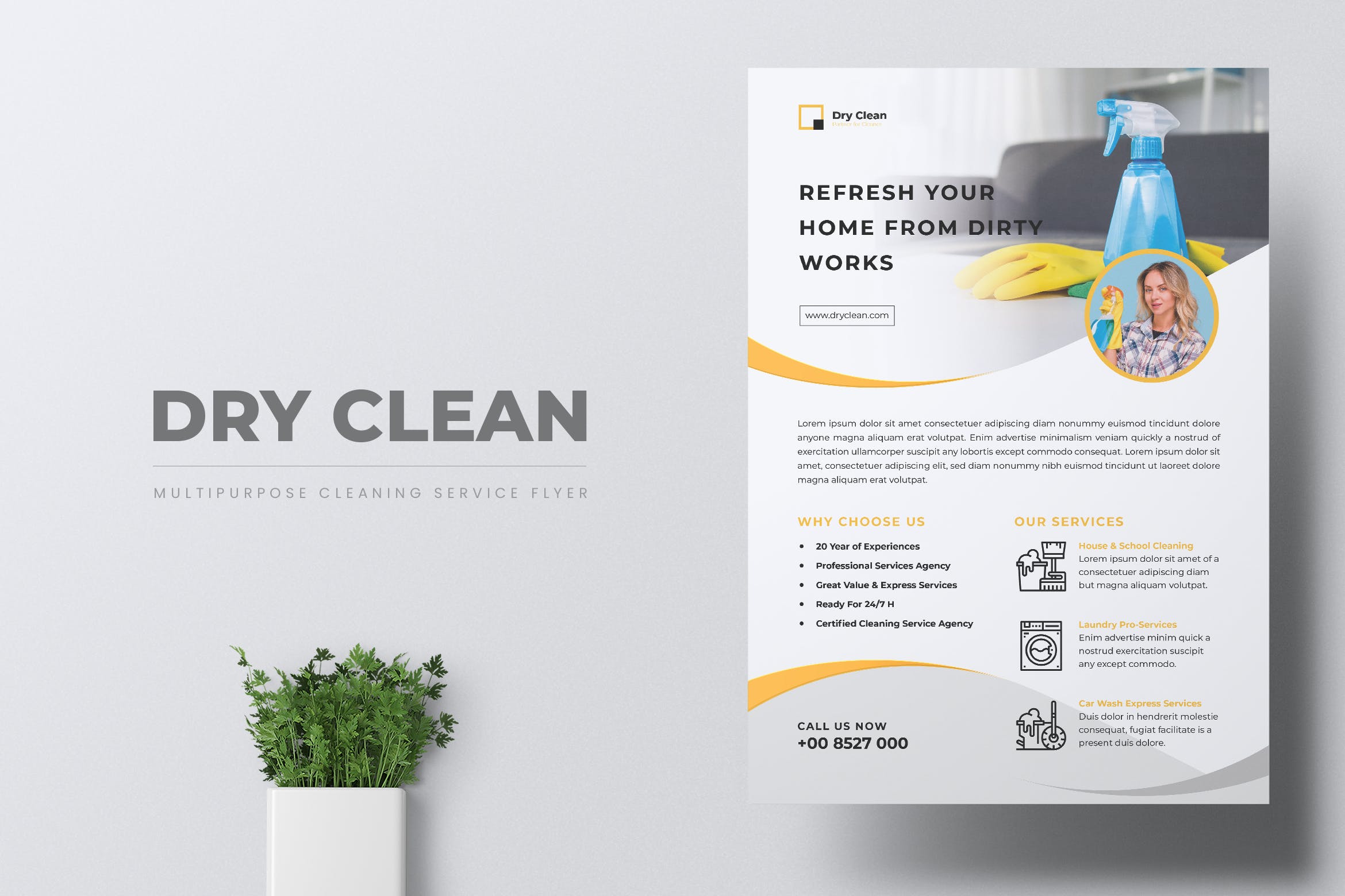 家电清洁上门/家庭家政保洁服务海报传单设计模板 DRYCLEAN Cleaning Services Flyer插图