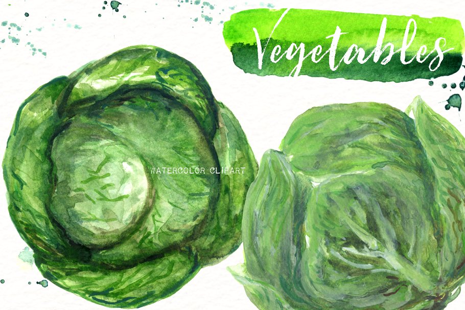 素材素食水彩剪贴画 Vegetables. Vegan Watercolor clipart插图(6)