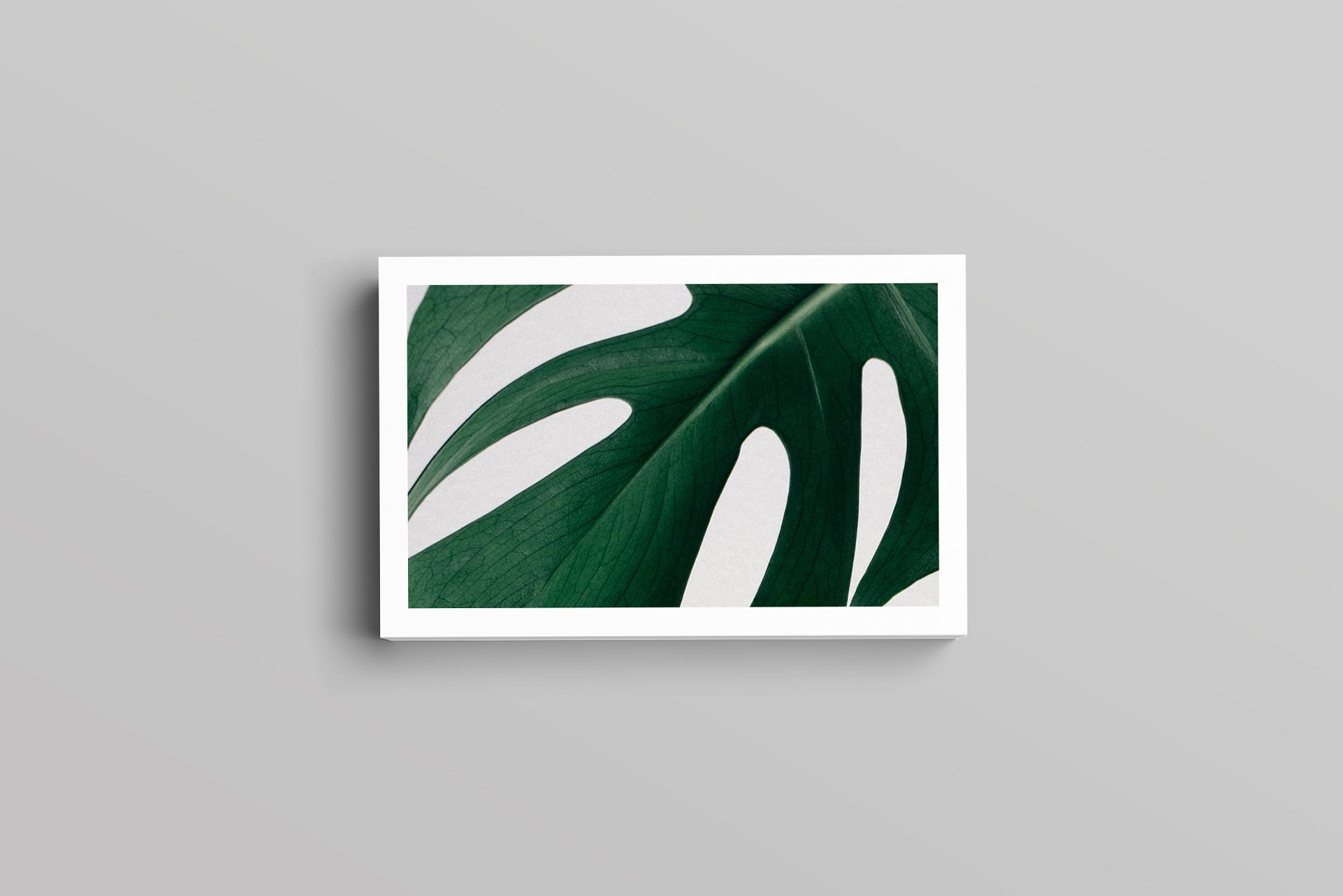 优雅简约风高端企业名片设计模板 Aaron Business Card Template插图(2)