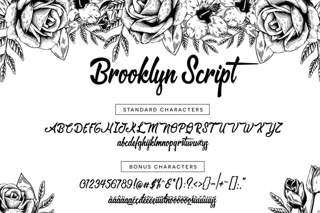 粗线条画笔手写英文字体 Brooklyn Script插图(4)