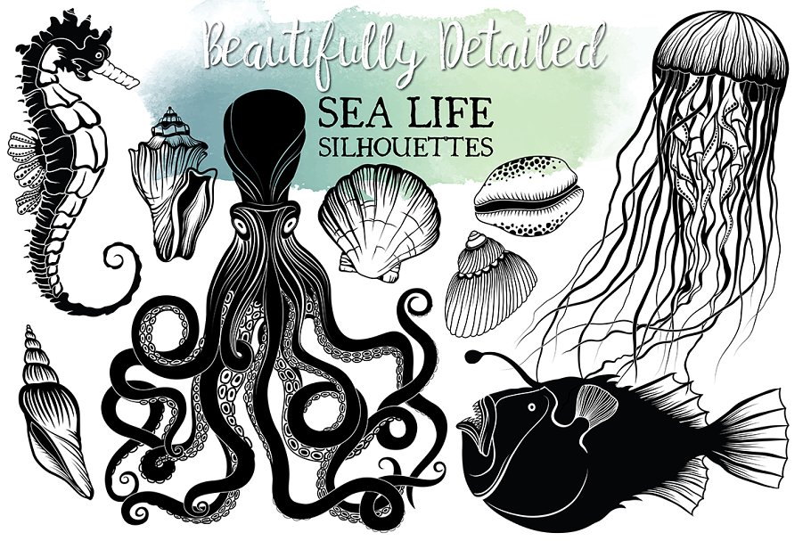 手绘海洋生活剪贴画素材 Hand Drawn Ocean Life Clipart插图(1)