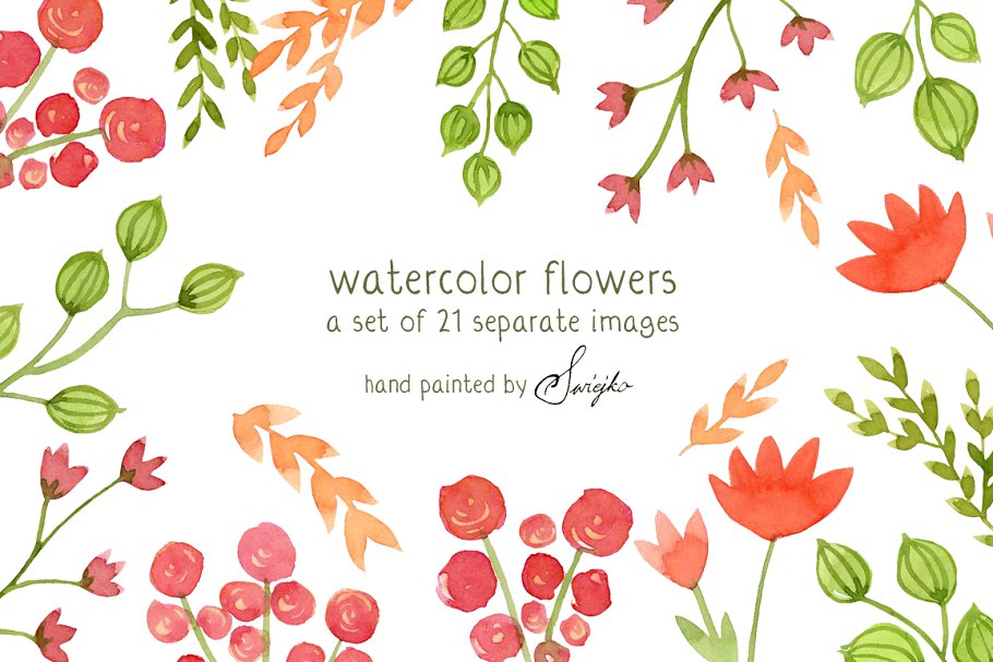 水彩花卉花环剪贴画 Watercolor Flowers, Floral插图