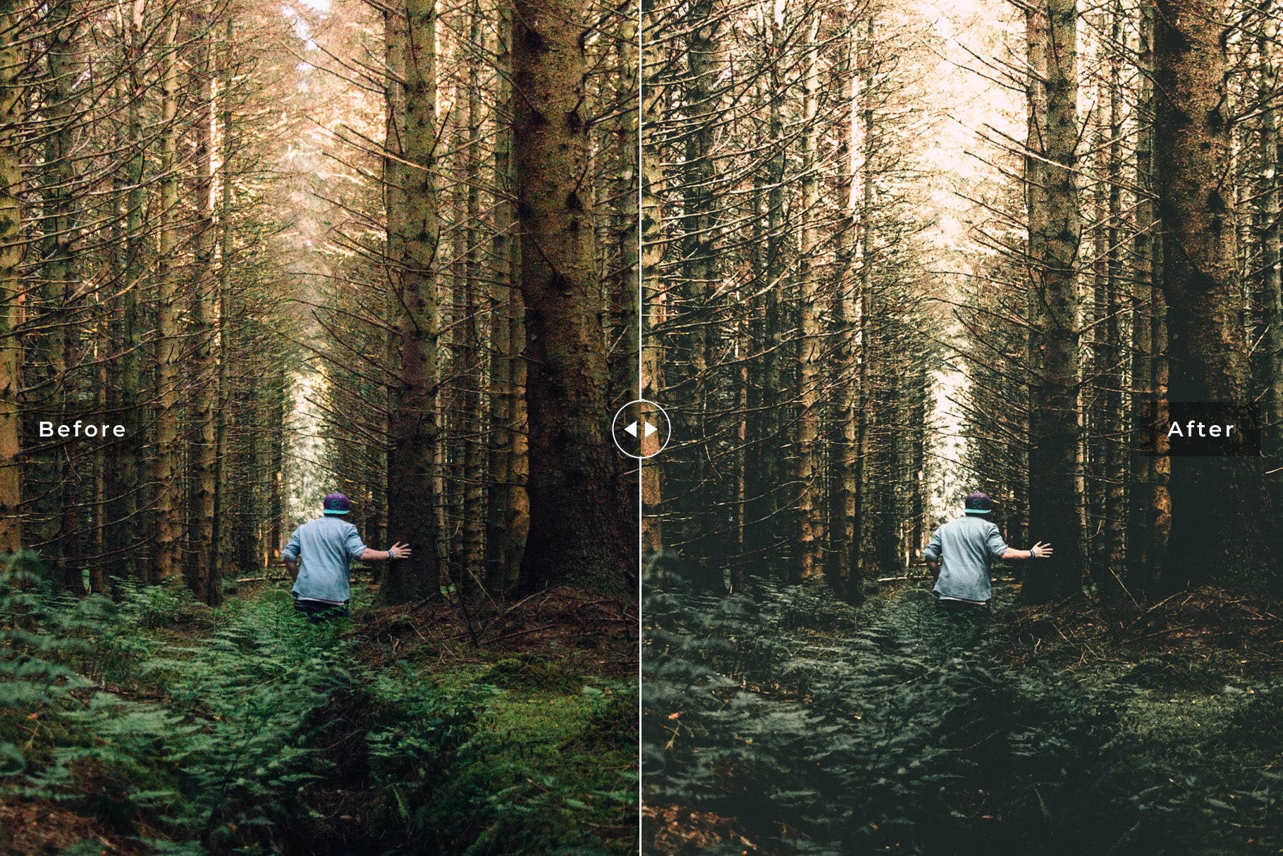 森林/树林摄影必备的LR调色预设 Woodlands Mobile & Desktop Lightroom Presets插图(1)